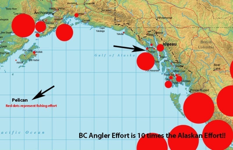 Alaska Halibut Fishing Maps  SquidPro Tackle's Halibut Fishing