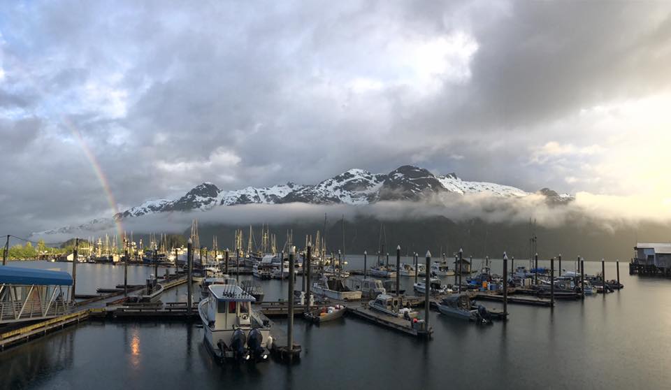 A harbor with many boats in the water.